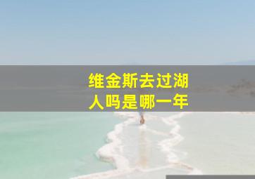 维金斯去过湖人吗是哪一年