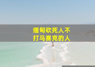 缅甸砍死人不打马赛克的人