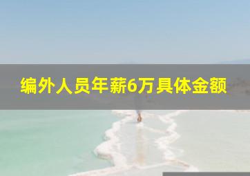 编外人员年薪6万具体金额