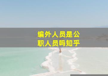 编外人员是公职人员吗知乎