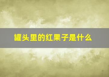 罐头里的红果子是什么