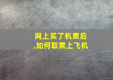 网上买了机票后,如何取票上飞机