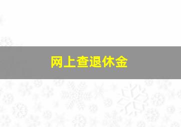 网上查退休金