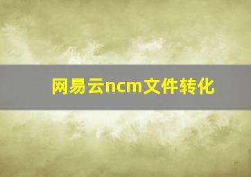 网易云ncm文件转化