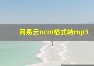 网易云ncm格式转mp3