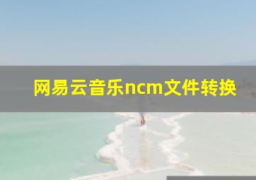 网易云音乐ncm文件转换