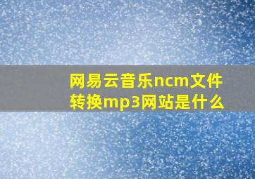 网易云音乐ncm文件转换mp3网站是什么