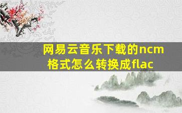 网易云音乐下载的ncm格式怎么转换成flac