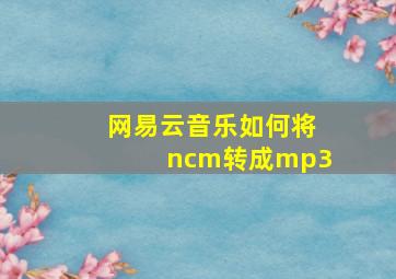 网易云音乐如何将ncm转成mp3