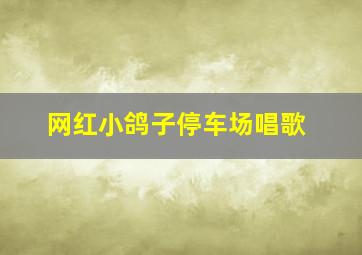 网红小鸽子停车场唱歌