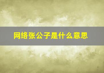 网络张公子是什么意思