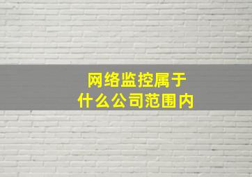 网络监控属于什么公司范围内