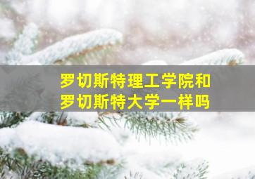 罗切斯特理工学院和罗切斯特大学一样吗