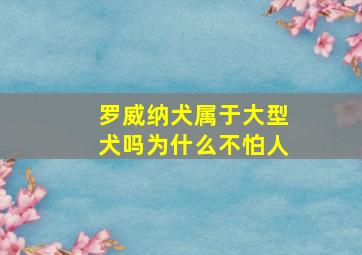 罗威纳犬属于大型犬吗为什么不怕人