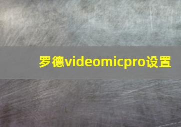 罗德videomicpro设置