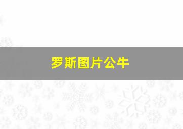 罗斯图片公牛