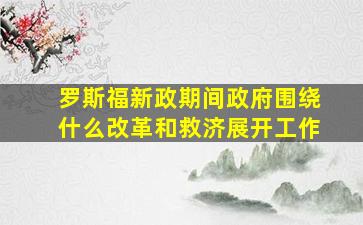 罗斯福新政期间政府围绕什么改革和救济展开工作