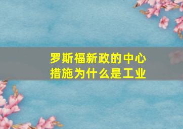 罗斯福新政的中心措施为什么是工业