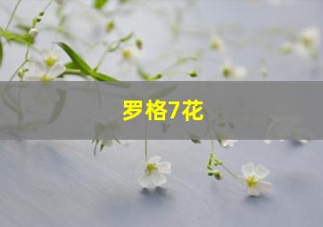 罗格7花