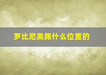 罗比尼奥踢什么位置的