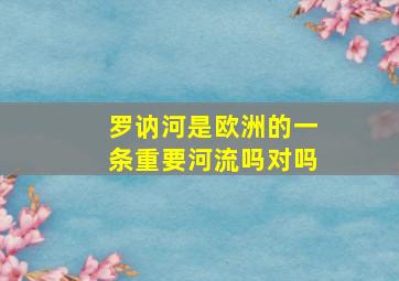 罗讷河是欧洲的一条重要河流吗对吗