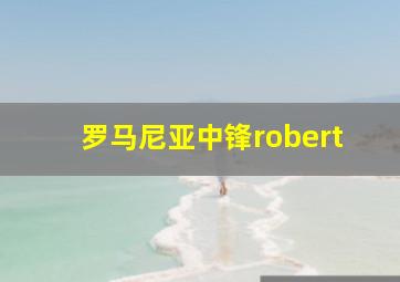 罗马尼亚中锋robert