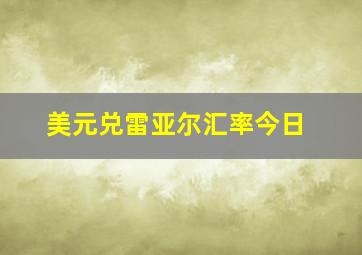 美元兑雷亚尔汇率今日