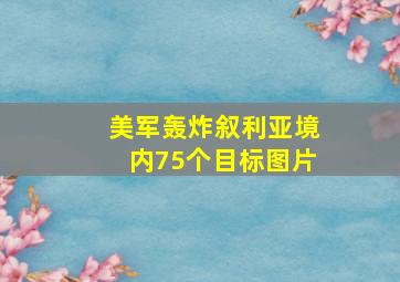 美军轰炸叙利亚境内75个目标图片