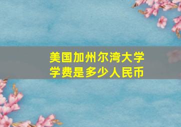 美国加州尔湾大学学费是多少人民币