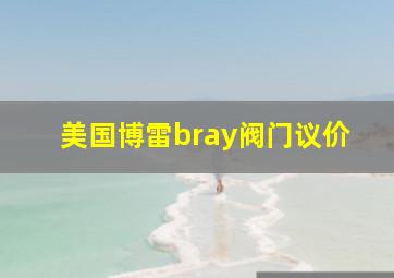 美国博雷bray阀门议价