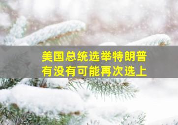 美国总统选举特朗普有没有可能再次选上