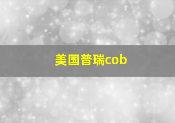 美国普瑞cob