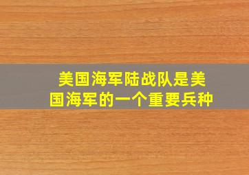 美国海军陆战队是美国海军的一个重要兵种