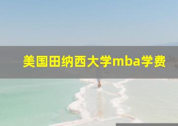 美国田纳西大学mba学费