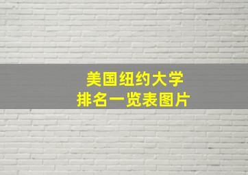 美国纽约大学排名一览表图片