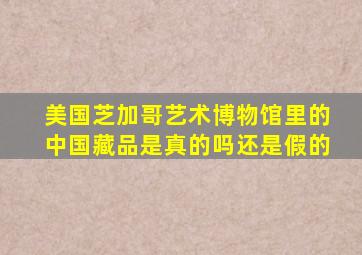 美国芝加哥艺术博物馆里的中国藏品是真的吗还是假的