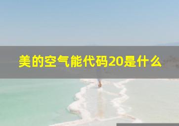 美的空气能代码20是什么