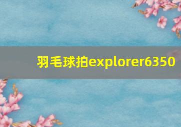 羽毛球拍explorer6350