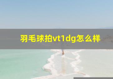 羽毛球拍vt1dg怎么样