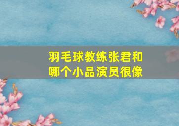 羽毛球教练张君和哪个小品演员很像