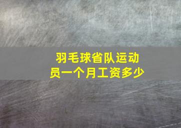 羽毛球省队运动员一个月工资多少