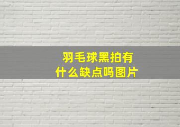 羽毛球黑拍有什么缺点吗图片