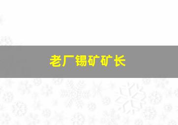 老厂锡矿矿长