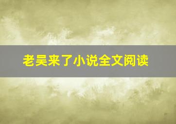 老吴来了小说全文阅读