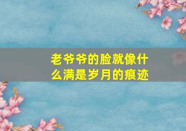 老爷爷的脸就像什么满是岁月的痕迹