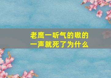 老鹰一听气的嗷的一声就死了为什么