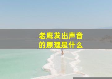 老鹰发出声音的原理是什么