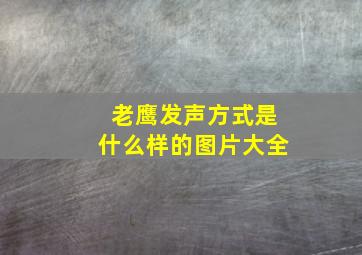 老鹰发声方式是什么样的图片大全