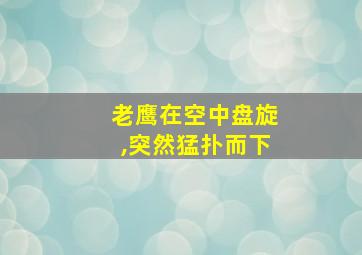 老鹰在空中盘旋,突然猛扑而下