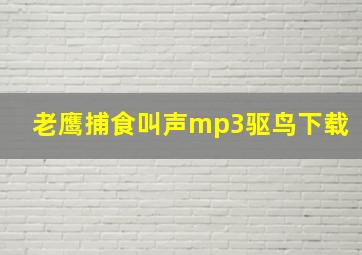 老鹰捕食叫声mp3驱鸟下载